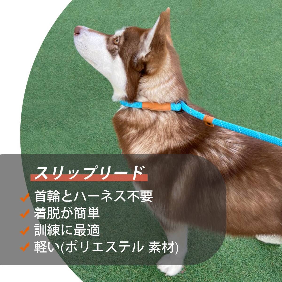 ドッグ スリップリード 犬用リーシュ、反射ロープリード、引っ張り防止リード、訓練用リーシュ 小型、中型、大型犬用 1.5m (M(9mm) MA369