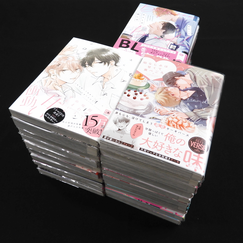 BLコミック まとめ売り 29冊(cè) セット ジャンク コミック マンガ 漫畫(huà) あぺこ みよしあやと にむまひろ 他