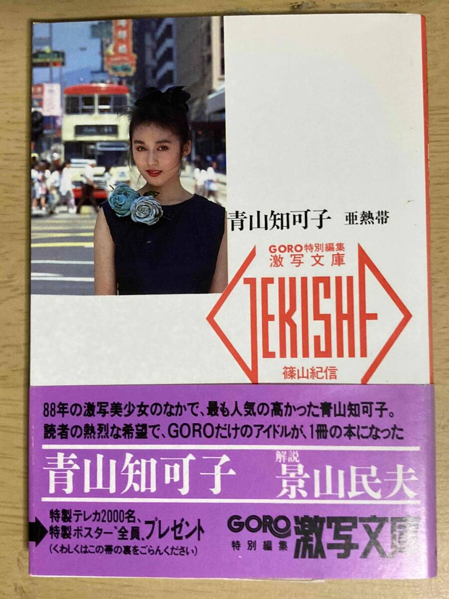 青山知可子 亜熱帯★激寫文庫(19)