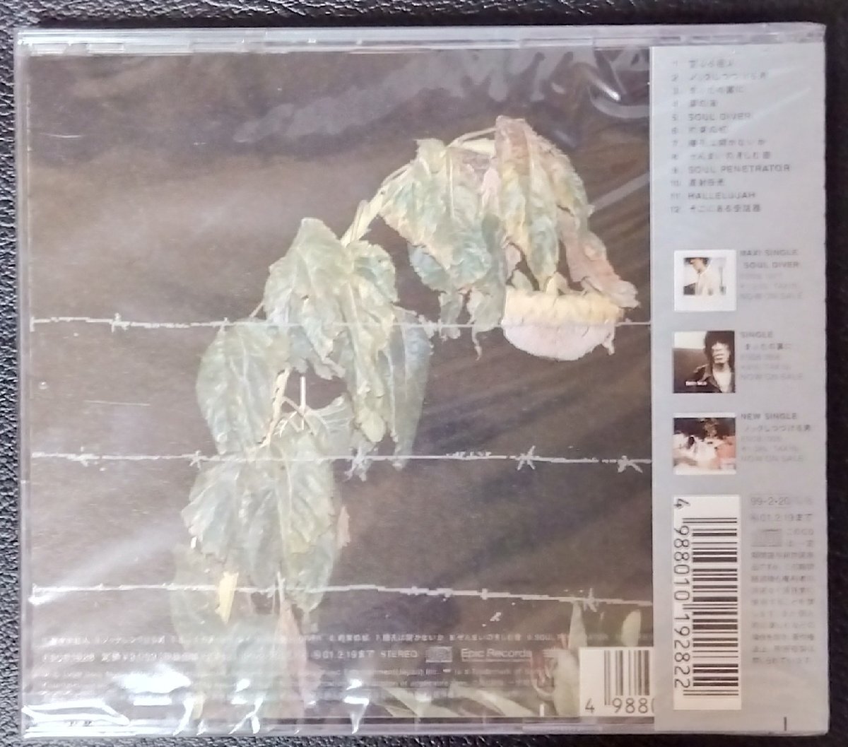 CD:Theatre Brook シアターブルック/VIRACOCHA　新品未開封