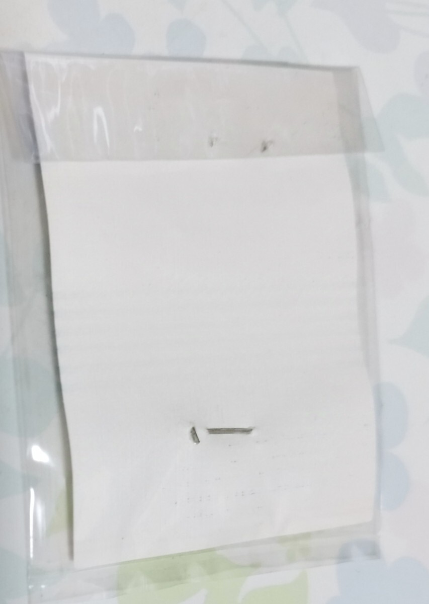 登山記念　日本二百名山　バッジ_画像2