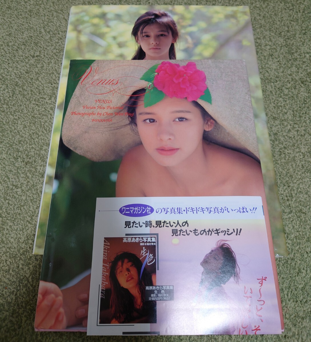 ビビアンスー ビビアン・スー写真集 VENUS