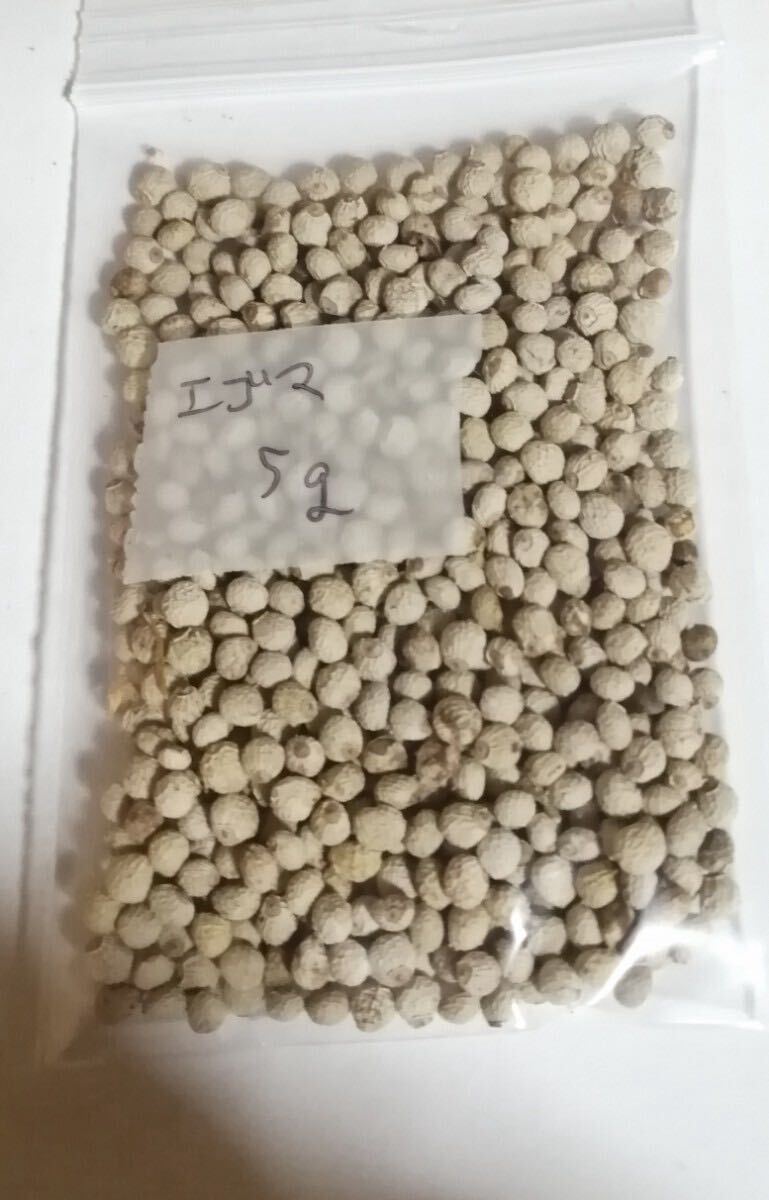 item_image_5