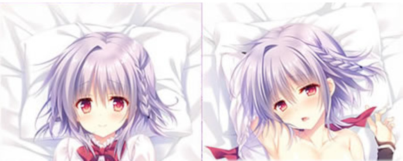 ....ko задний павильон река ..otome* домен . птица . Dakimakura покрытие / WNB A&J Like to long стандартный товар новый товар нераспечатанный бесплатная доставка 