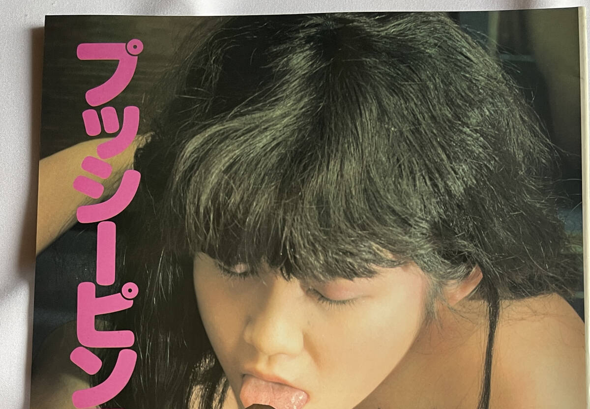 成人向寫真集　６０８