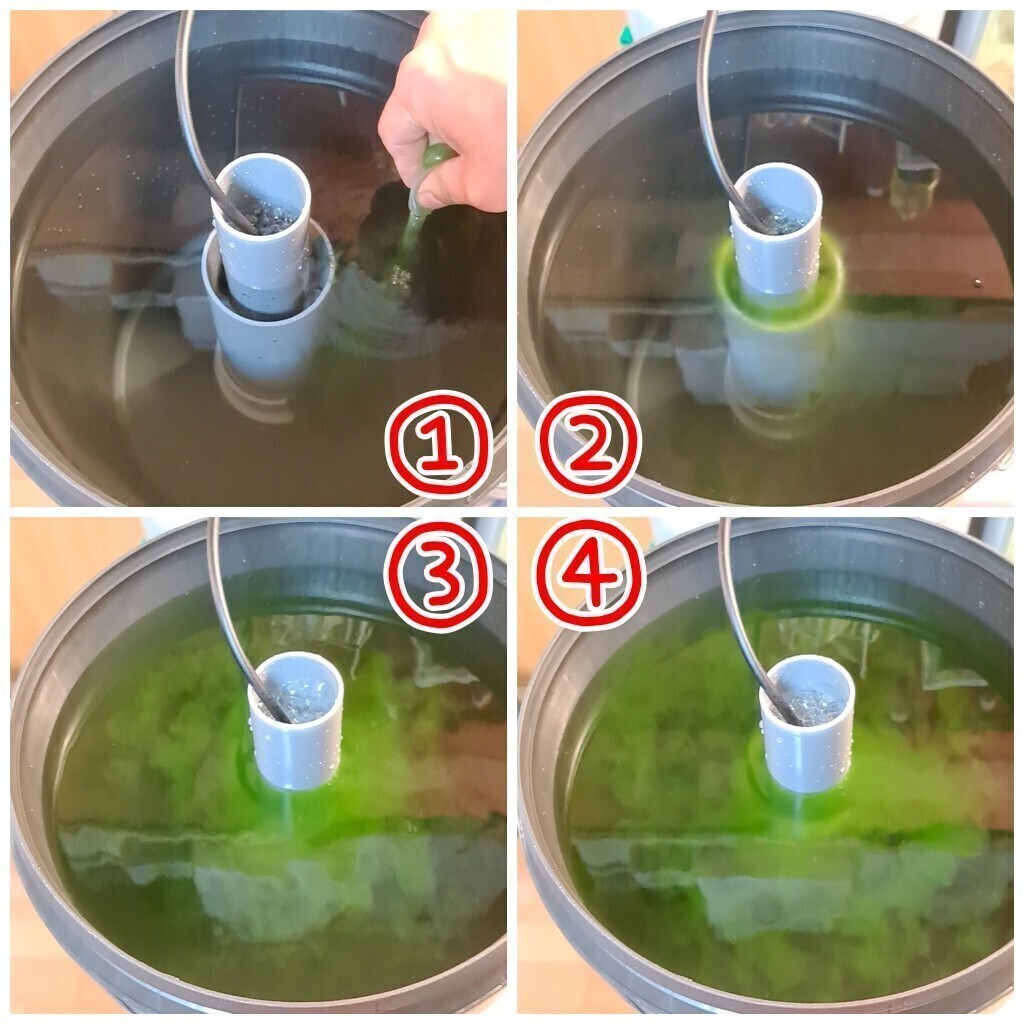 【倭めだか】 “大容量30L ミジンコ培養(yǎng) 5點セット”　排水コック取付可 シャムミジンコ タマミジンコ オオミジンコ タイリクミジンコ 裝置