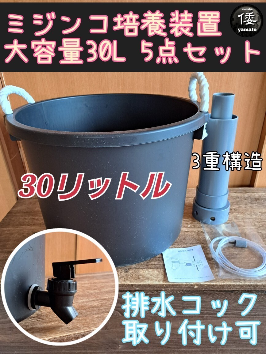 【倭めだか】 “大容量30L ミジンコ培養(yǎng) 5點セット”　排水コック取付可 シャムミジンコ タマミジンコ オオミジンコ タイリクミジンコ 裝置