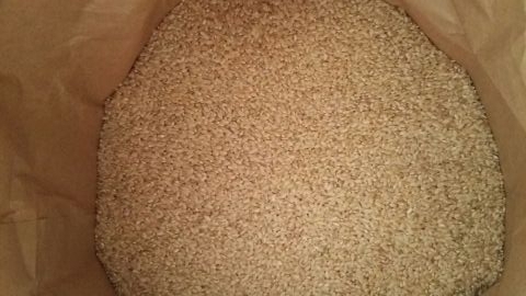 農家直送☆新米 令和６年産☆自然乾燥米秋田県産あきたこまち　白米300ｇ×５