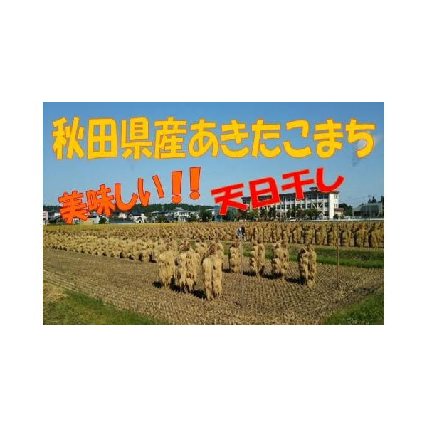 農家直送☆令和６年産☆自然乾燥米 秋田県産あきたこまち白米１０ｋｇ(５ｋｇ×２袋)