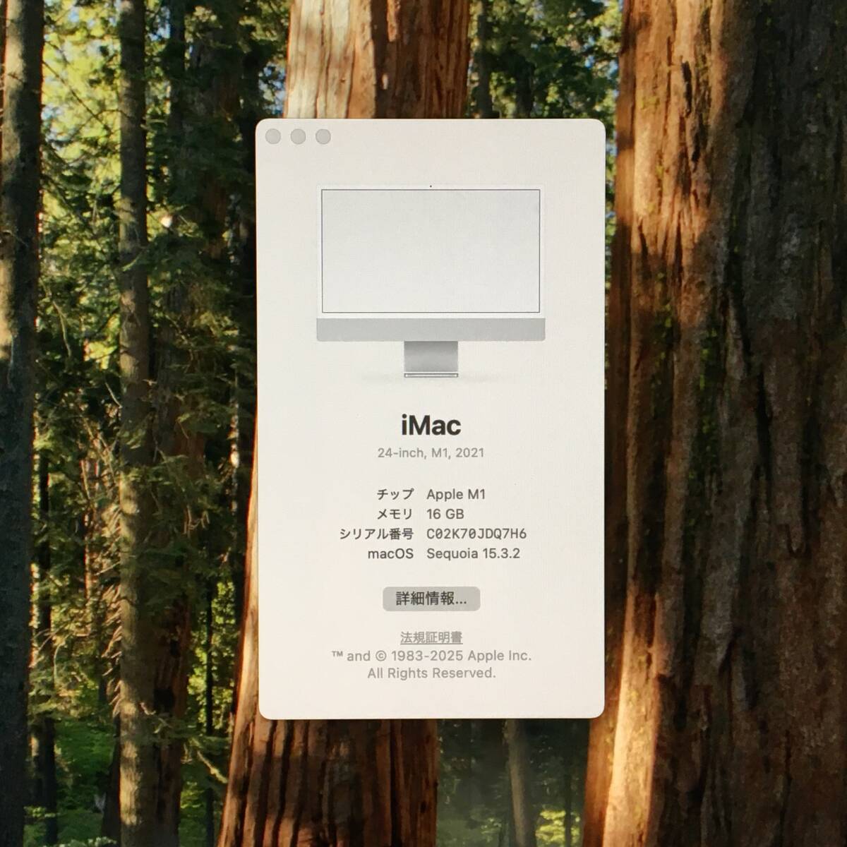 *[ прекрасный товар 24 дюймовый ]Apple iMac (24-inch, M1, 2021) A2439[Apple M1/RAM:16GB/SSD:256GB]Sequoia рабочий товар 