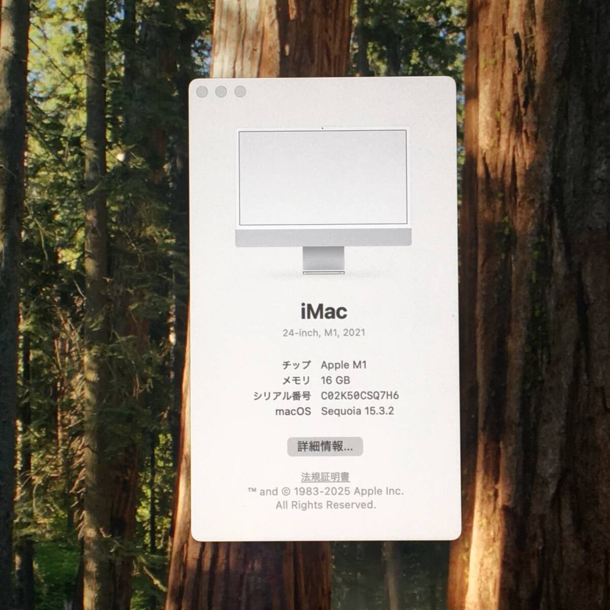 *[ прекрасный товар 24 дюймовый ]Apple iMac (24-inch, M1, 2021) A2439[Apple M1/RAM:16GB/SSD:256GB]Sequoia рабочий товар 