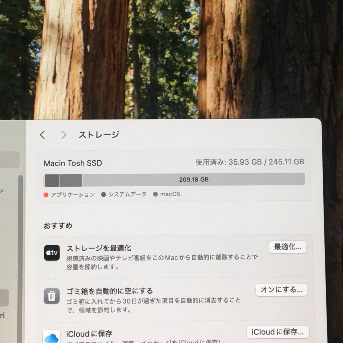 *[ прекрасный товар 24 дюймовый ]Apple iMac (24-inch, M1, 2021) A2439[Apple M1/RAM:16GB/SSD:256GB]Sequoia рабочий товар 