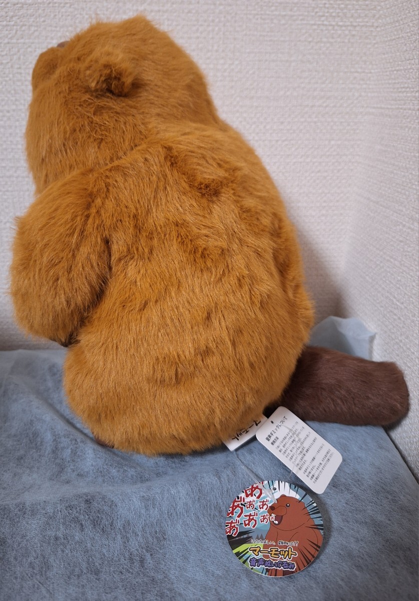 新品・未使用 けたたましい 雄叫び！ マーモット 音声