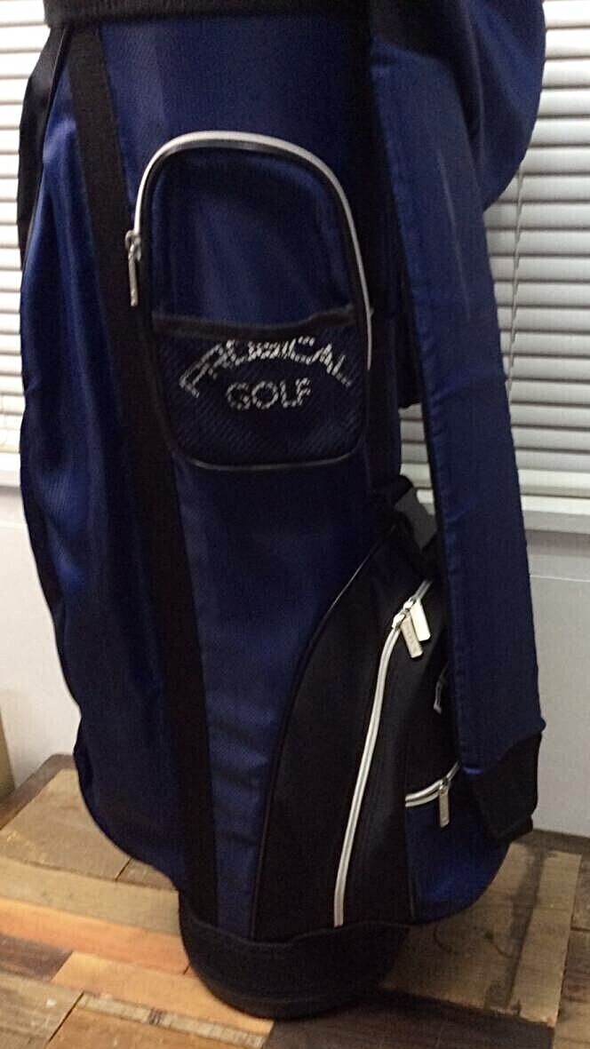 ゴルフ用品 プロジカル ゴルフ PROGICAL GOLF キャディバッグ ネイビー おまけ付 ティー ボール 22球 メーカー品 中古品 美品 管38886129