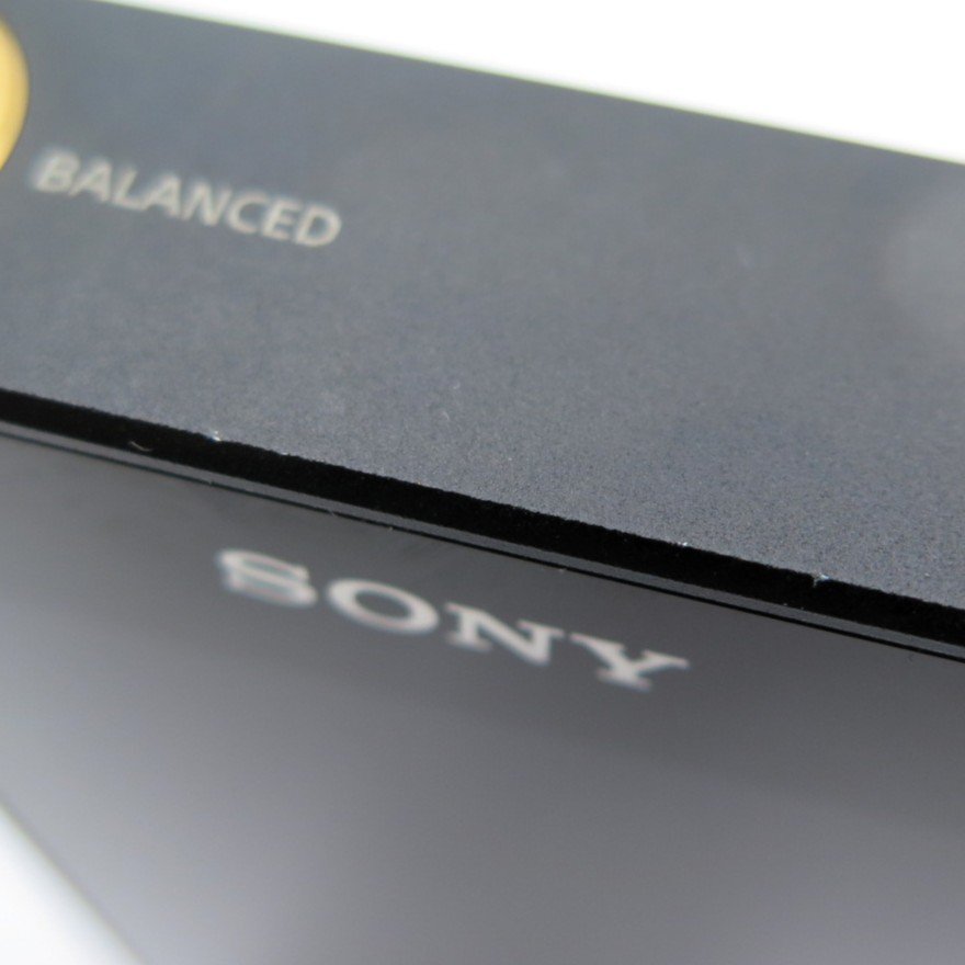 1円～ SONY ソニー NW-WM1A ポータブルオーディオプレーヤー ウォークマン 通電のみ確認済 現(xiàn)狀品 3772139