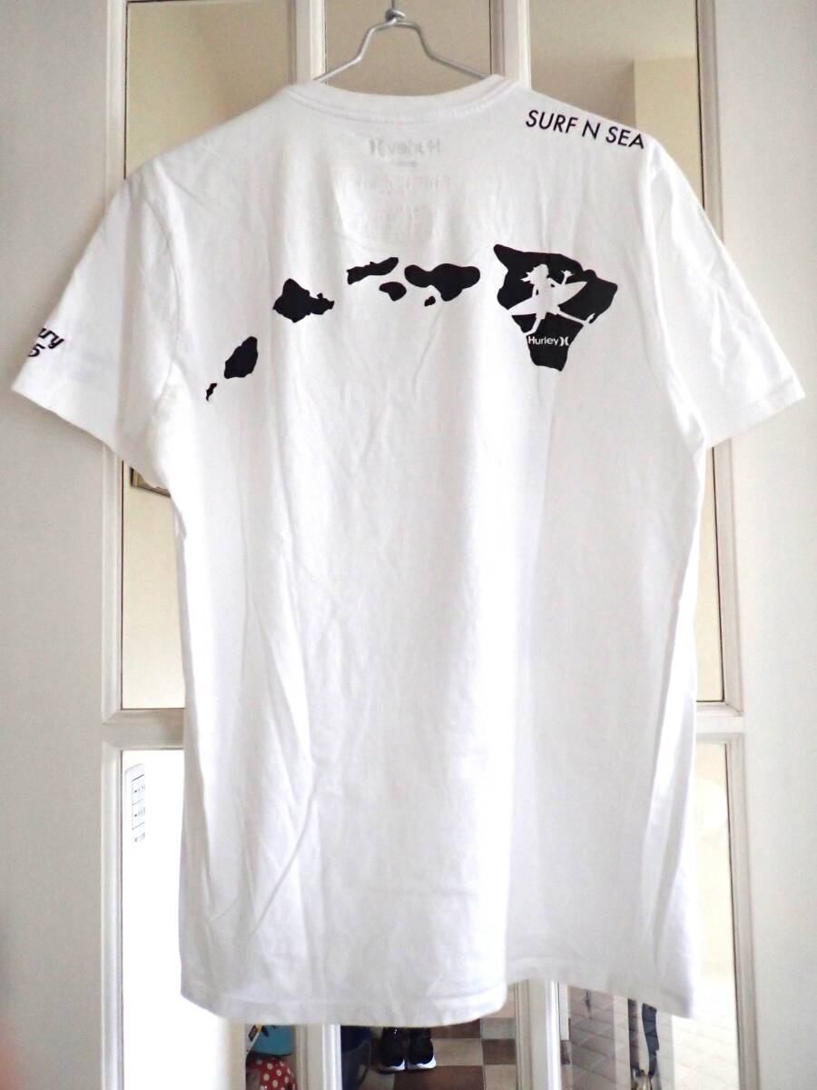 00s Hurley ハーレー ハワイ諸島バックプリント メンズTシャツsize(M)SURF N SEA