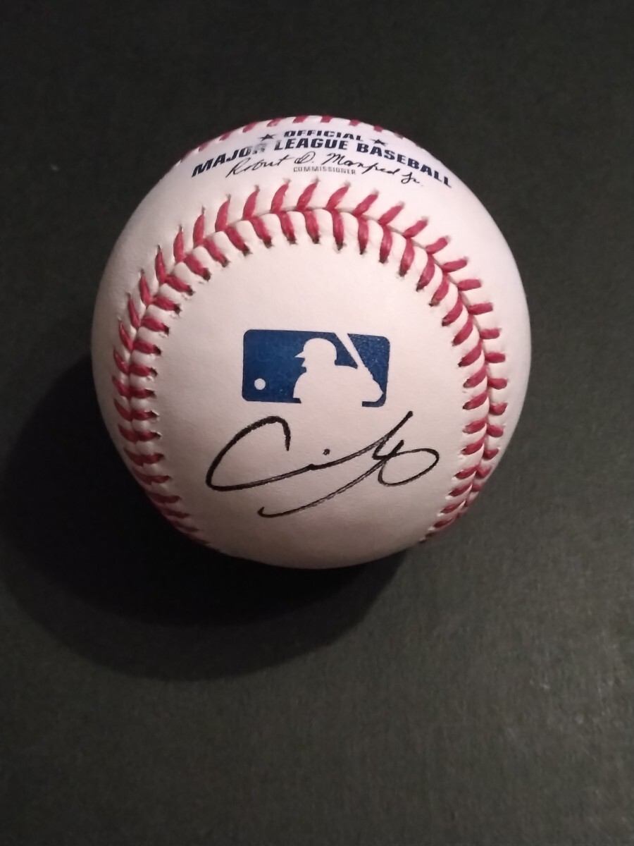 送料無料!大谷翔平 直筆サインボール MLB公式球 試合球 送料無料!大谷翔平 直筆サインボール MLB公式球 試合球