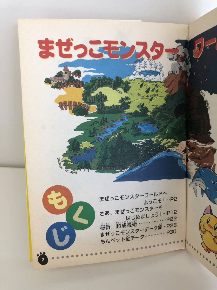 ⑨_R22◆超魔神英雄ワタル　まぜっこモンスター　ポケットガイド◆GAMEBOY　GB　ゲームボーイ　攻略本　古書(shū)