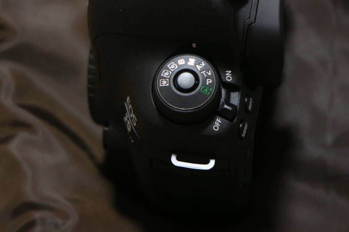  почти не использовался EOS 5D MarkⅣ Mark4