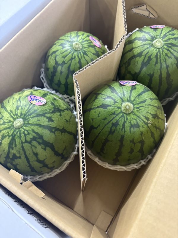  маленький шар арбуз 2 коробка (1 коробка сторона .3~6 шар входить * Kumamoto префектура производство * для бытового использования ) * стандартный рейс ограничение 