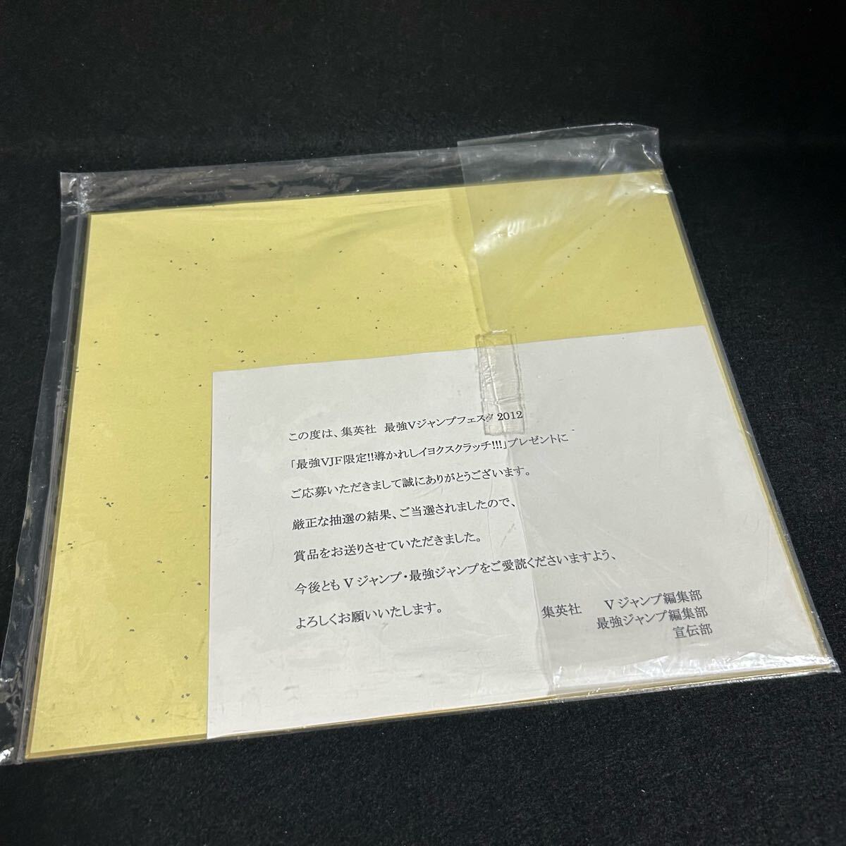 遊☆戯☆王5D's 不動遊星 当選品 サイン色紙 Vジャンプ 懸賞 レア 非売品 遊☆戯☆王5D's 不動遊星 当選品 サイン色紙 Vジャンプ 懸賞