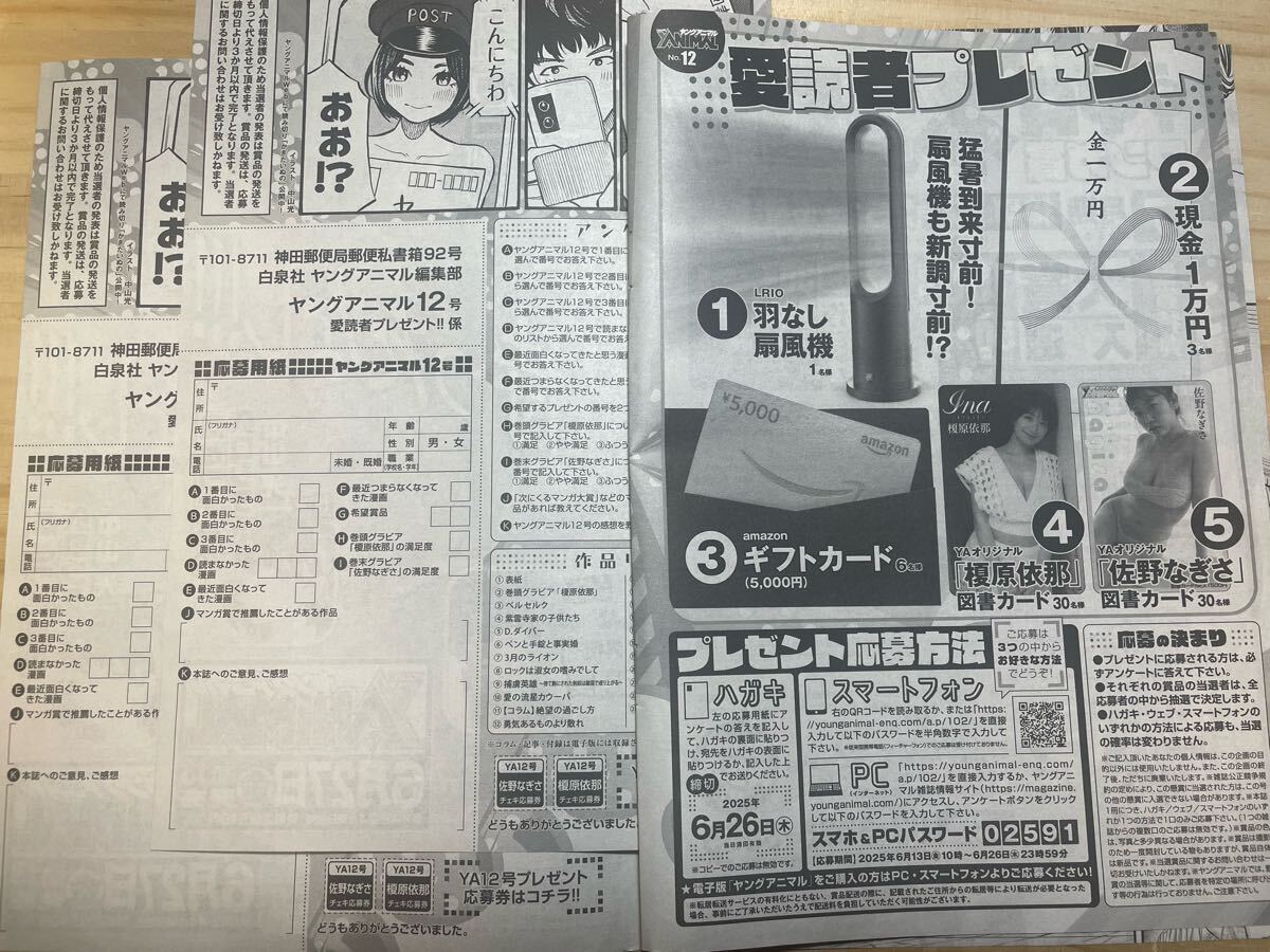 【2枚２种セット】 ヤングアニマル　12号　アンケート　チェキ　プレゼント　応募用纸　榎原依奈　佐野なぎさ　図书カード　等