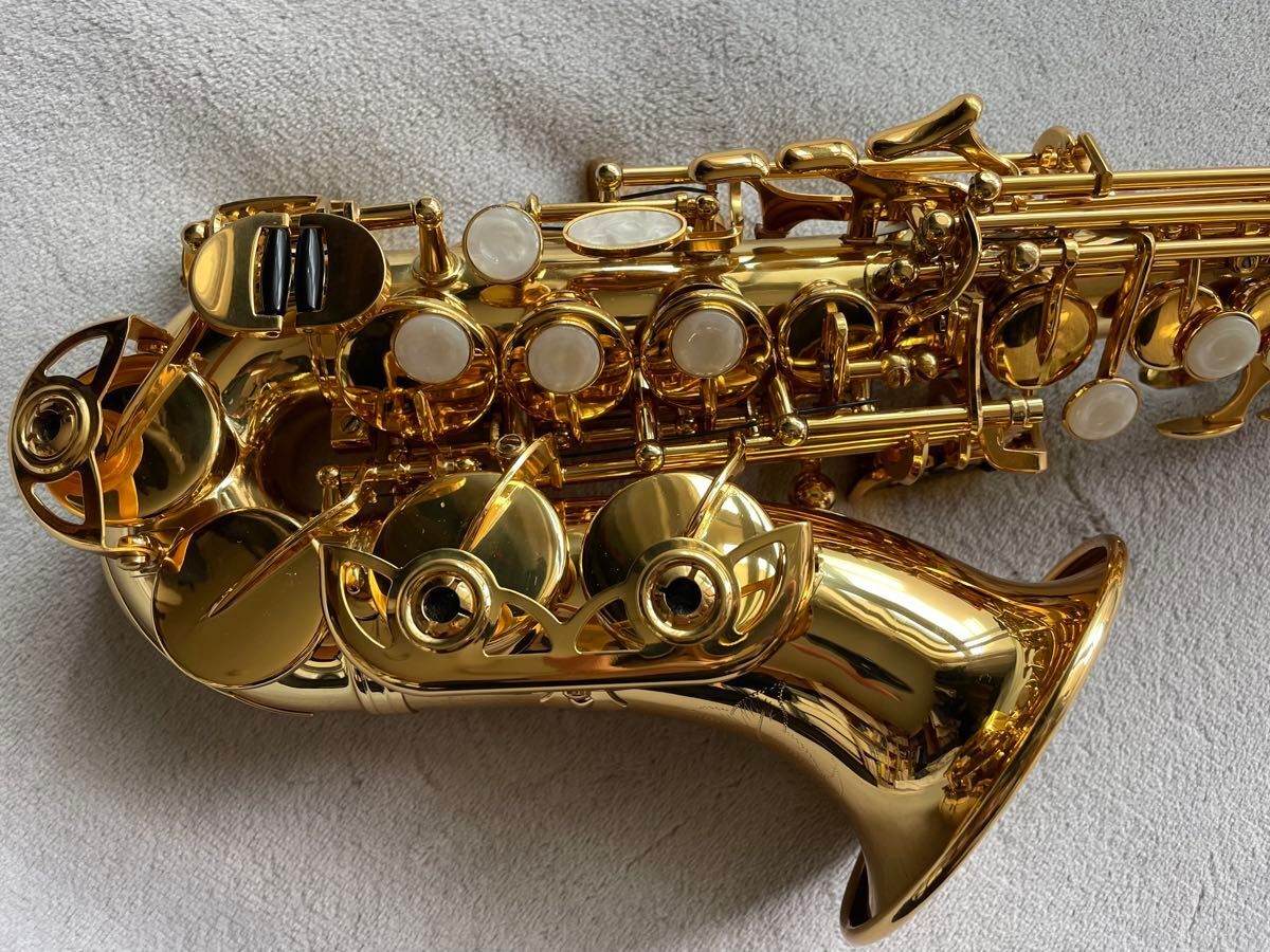【今月限定新品】カーブドソプラノサックス 唯一無二の音色！動画あり 今月限定新品】カーブドソプラノサックス 唯一無二の音色！動画あり