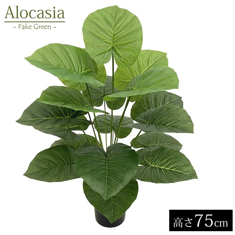 人工観葉植物 アロカシア クワズイモ 75cm 葉18枚 フェイクグリーン 造花 枯れない 水やり不要 新生活 インテリア 飾り 鉢なし