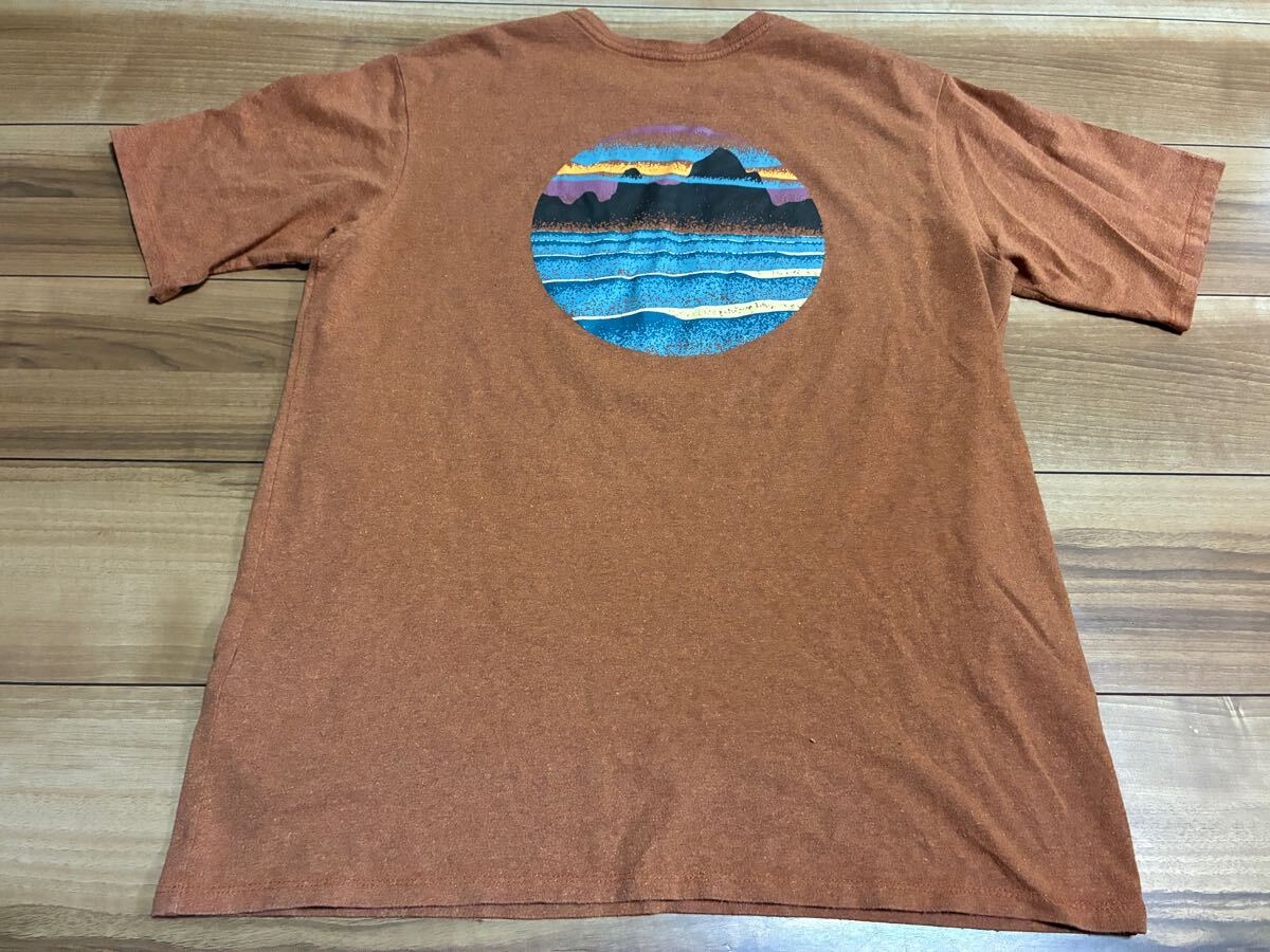 patagonia パタゴニア　p6 オーガニックコットン　 半袖Tシャツ　ブラウン　レギュラーフィットＭサイズ　美品　厚手　ヴィンテージ 