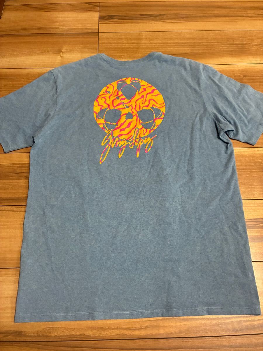 patagonia パタゴニア　p6 パタゴニアサーフ　ポケット付きtシャツ ジェリーロペスモデル　レギュラーフィットＬサイズ　厚手　美品