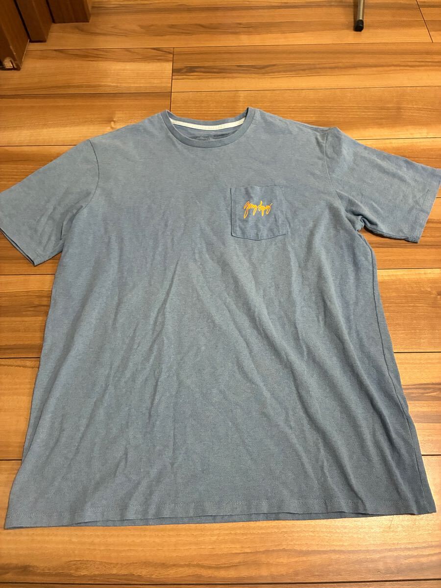 patagonia パタゴニア　p6 パタゴニアサーフ　ポケット付きtシャツ ジェリーロペスモデル　レギュラーフィットＬサイズ　厚手　美品