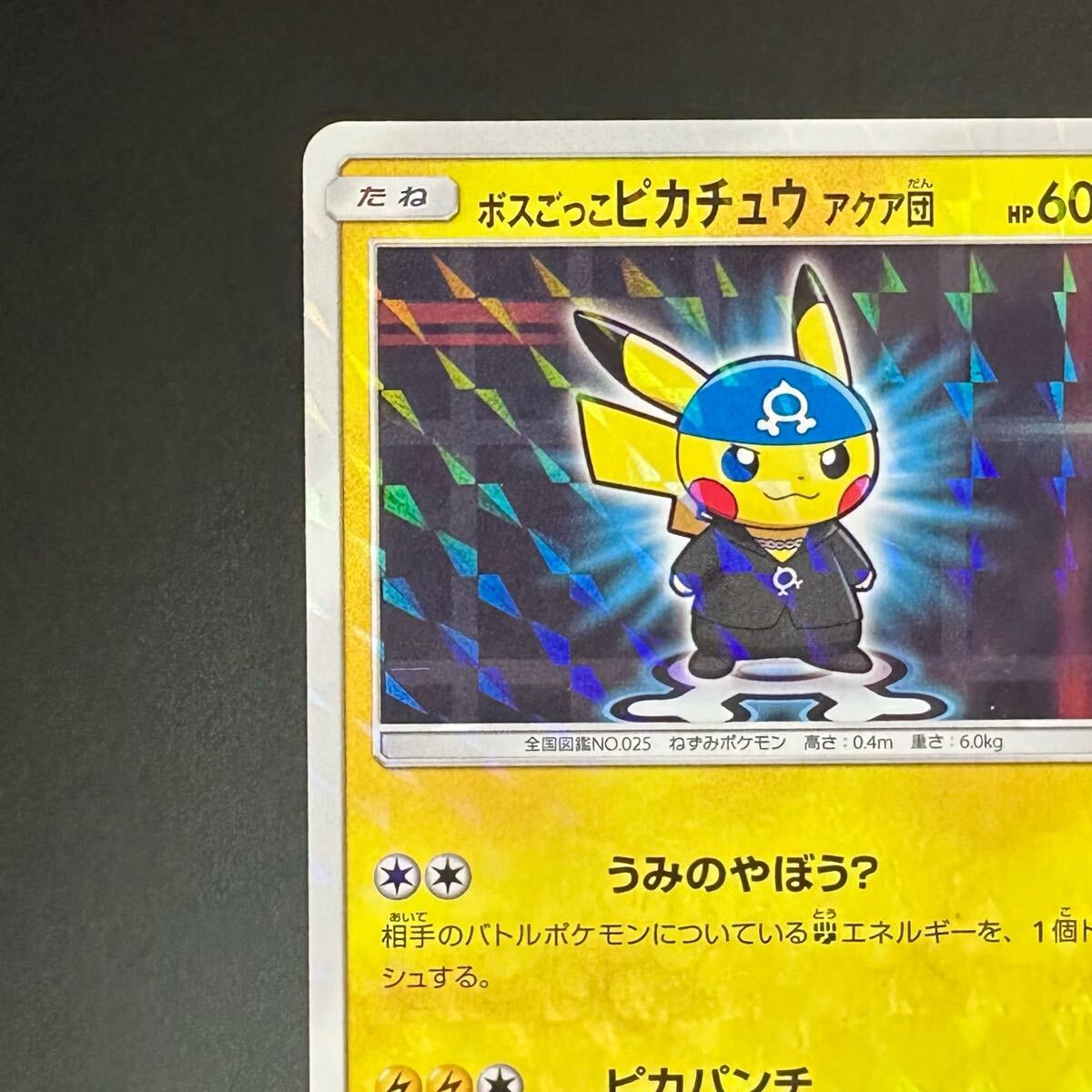 ボスごっこピカチュウ アクア団: プロモ[SM-P 192