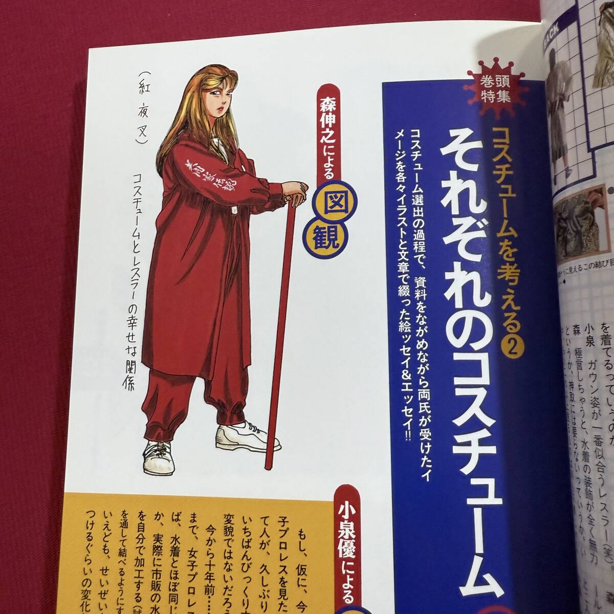 送料込★女子プロレス主義！★コスチューム特集 森伸之★女子プログッズ博覧會(huì)★長(zhǎng)與千種 長(zhǎng)谷川咲恵 尾崎魔弓 井上京子 工藤めぐみ