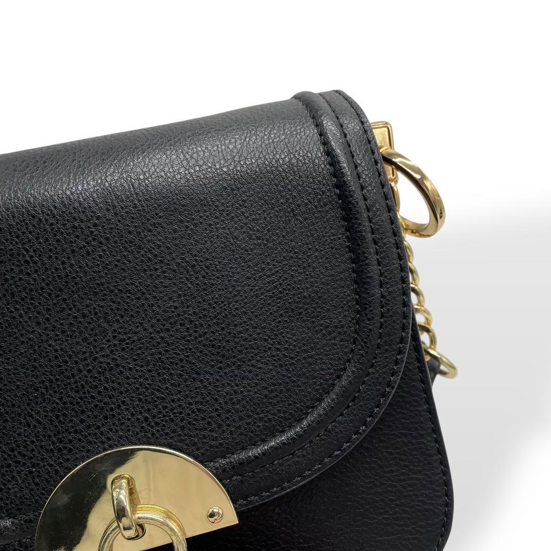 【ALDO】チェーン ナエトラン ハンドバッグ ショルダーバッグ 極美品 ALDO アルド チェーンショルダーバッグ パイソン調