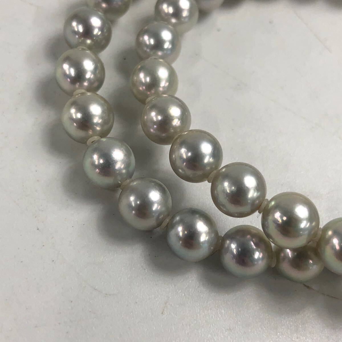 人気の新作 ☆F05473/KENSHOEN 健勝苑/本真珠/ネックレス/金具 SILVER アクセサリー