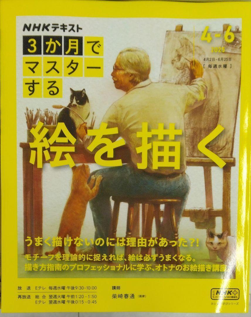 初版完全新品希少品　NHK3か月でマスターする 絵を描く (NHKシリーズ)