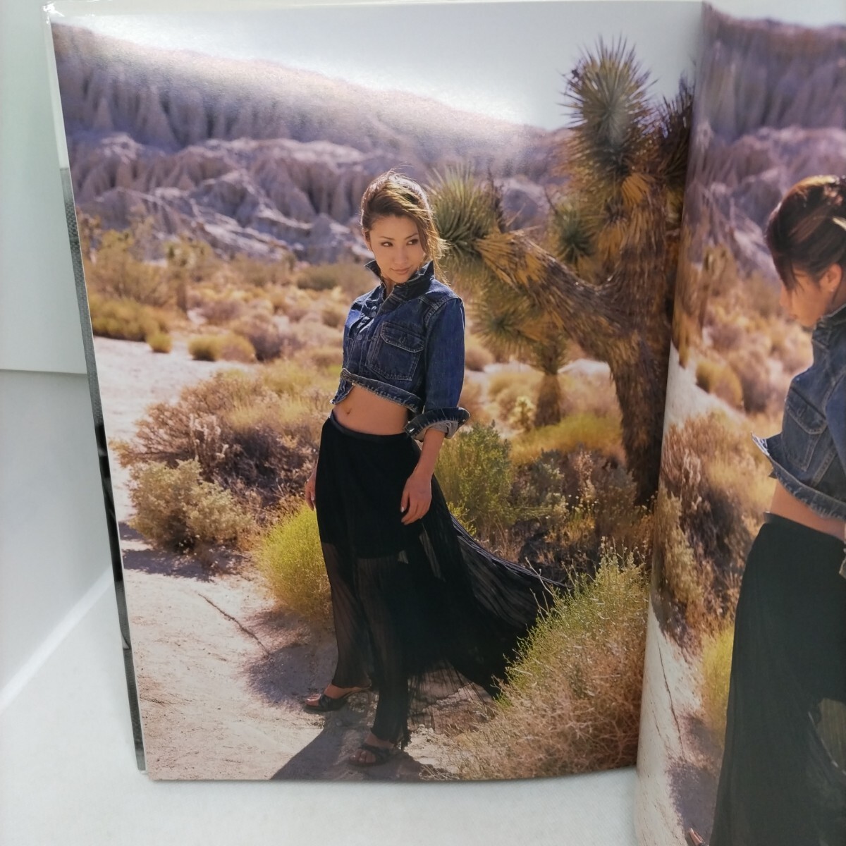 サイン入り寫真集「鈴木紗理奈 寫真集 Punky Girl」撮影：鯨井康雄/アイドル/グラビア/タレント/バラドル/2001年発行/水著/?、?1220