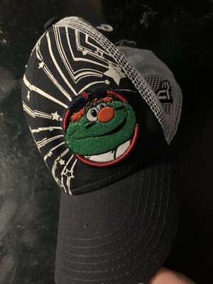 Vintage Boston Red Sox Wally Cap 海外 即決 海外商品購入代行