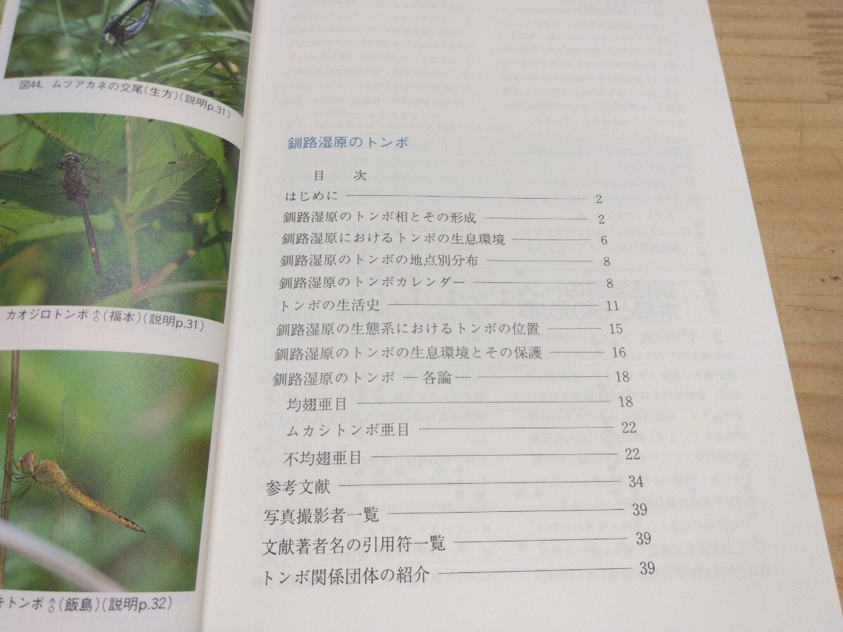 A31*[ Кусиро город ... стрекоза Кусиро город .. природа гид сырой person превосходящий .1993 год первая версия сегодня книга@ птицы защита полосный .]oniyan Magi nyamahime белка красный ne250623