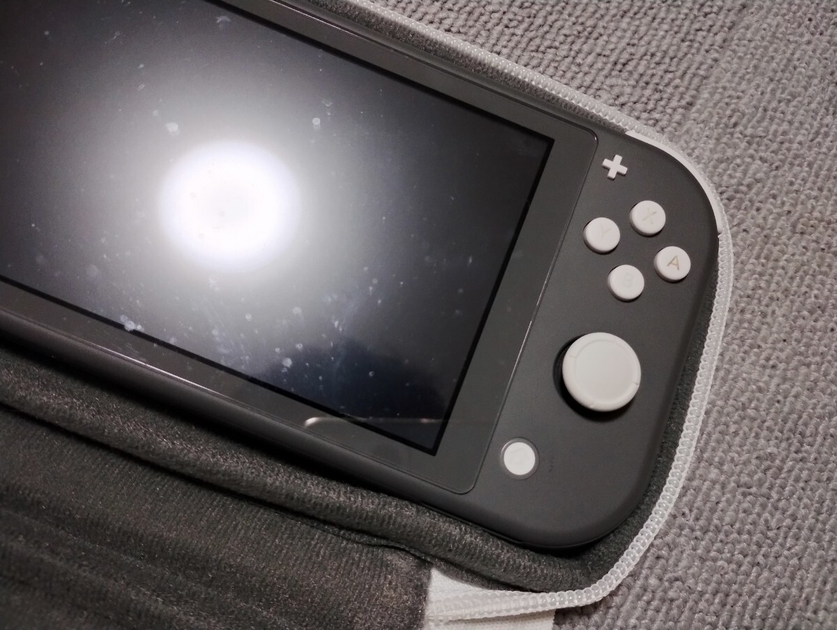 任天堂 Switch Lite スイッチライト グレー ケース付き 箱無し