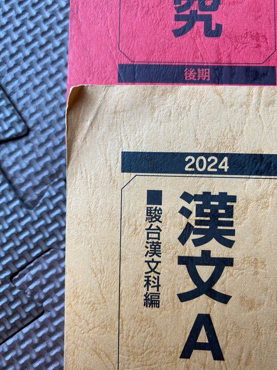 駿台 2024 漢文 古文 現代文 共通テスト 大学受験 5冊セット