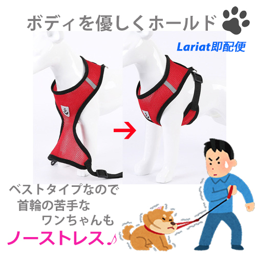  Harness [ XL размер * черный ] Lead есть собака для лучший модель сетка прогулка ошейник one Chan 