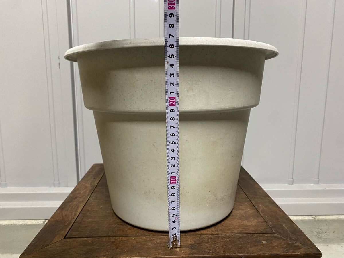 植木鉢　プラスチック　プランター　12号　白　蘭鉢　観葉植物　多肉植物　山野草　草花　花　雑木　柑橘　サボテン　ガーデニング　鉢
