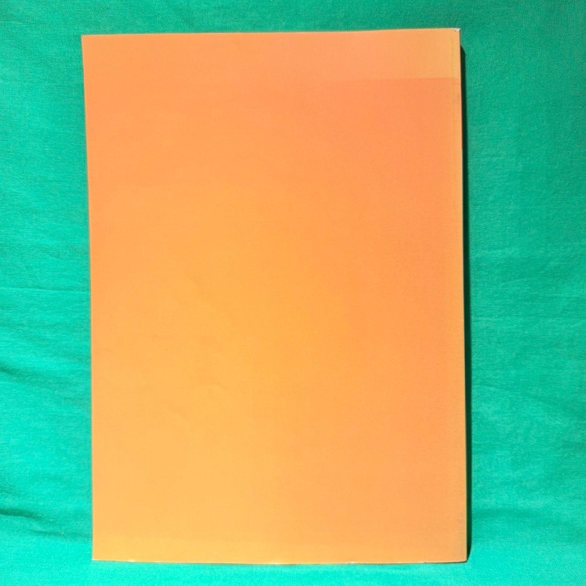 大黄河文明の流れ 山東省文物展 図録 1986年 西武美術館 朝日新聞社 中国 出土品 考古学 古本_画像2