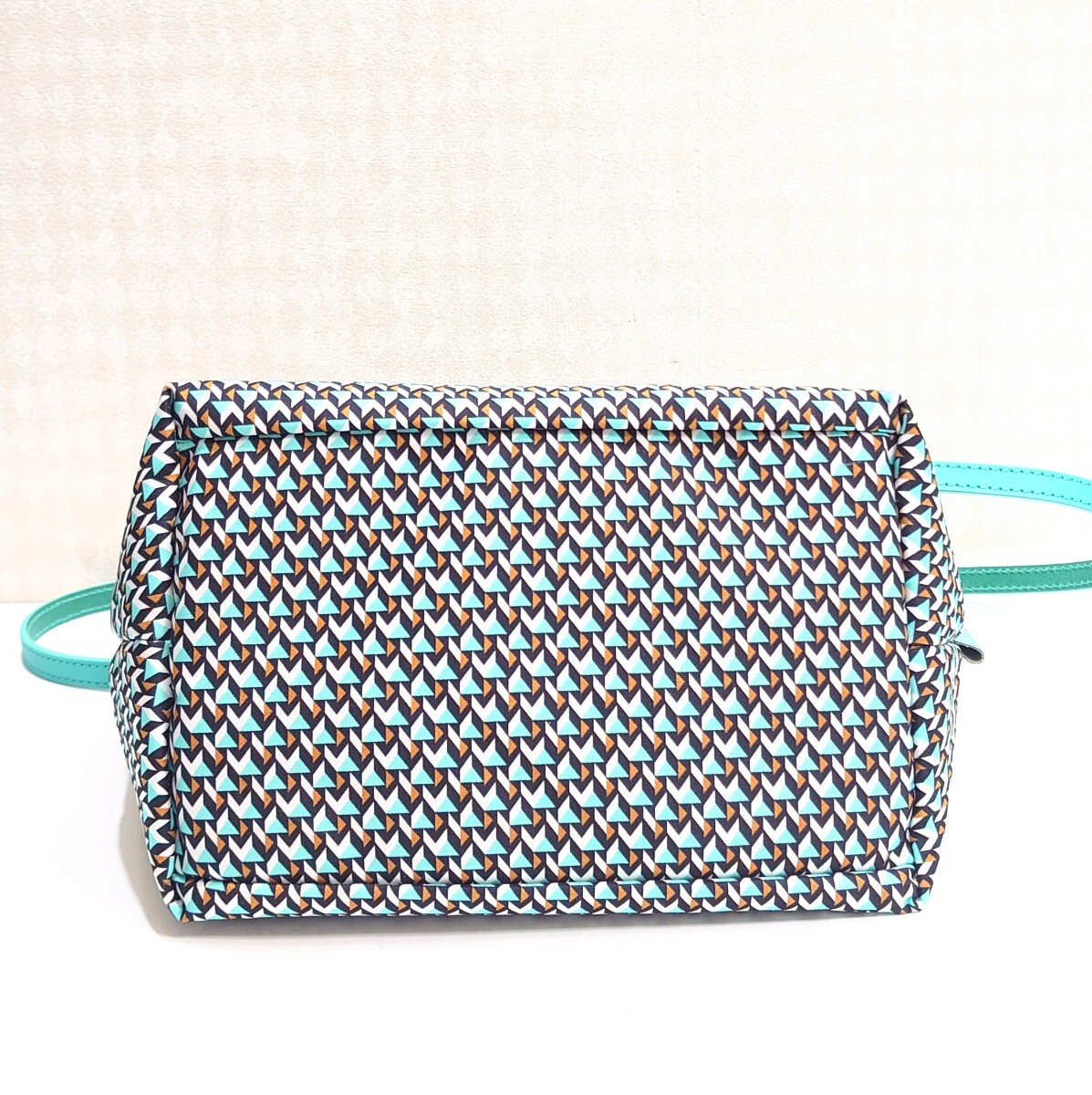  не использовался Roberta pieliROBERTA PIERI женский 2way Mini большая сумка aqua blue acqua tatami Mini da полный ITALY Италия производства 