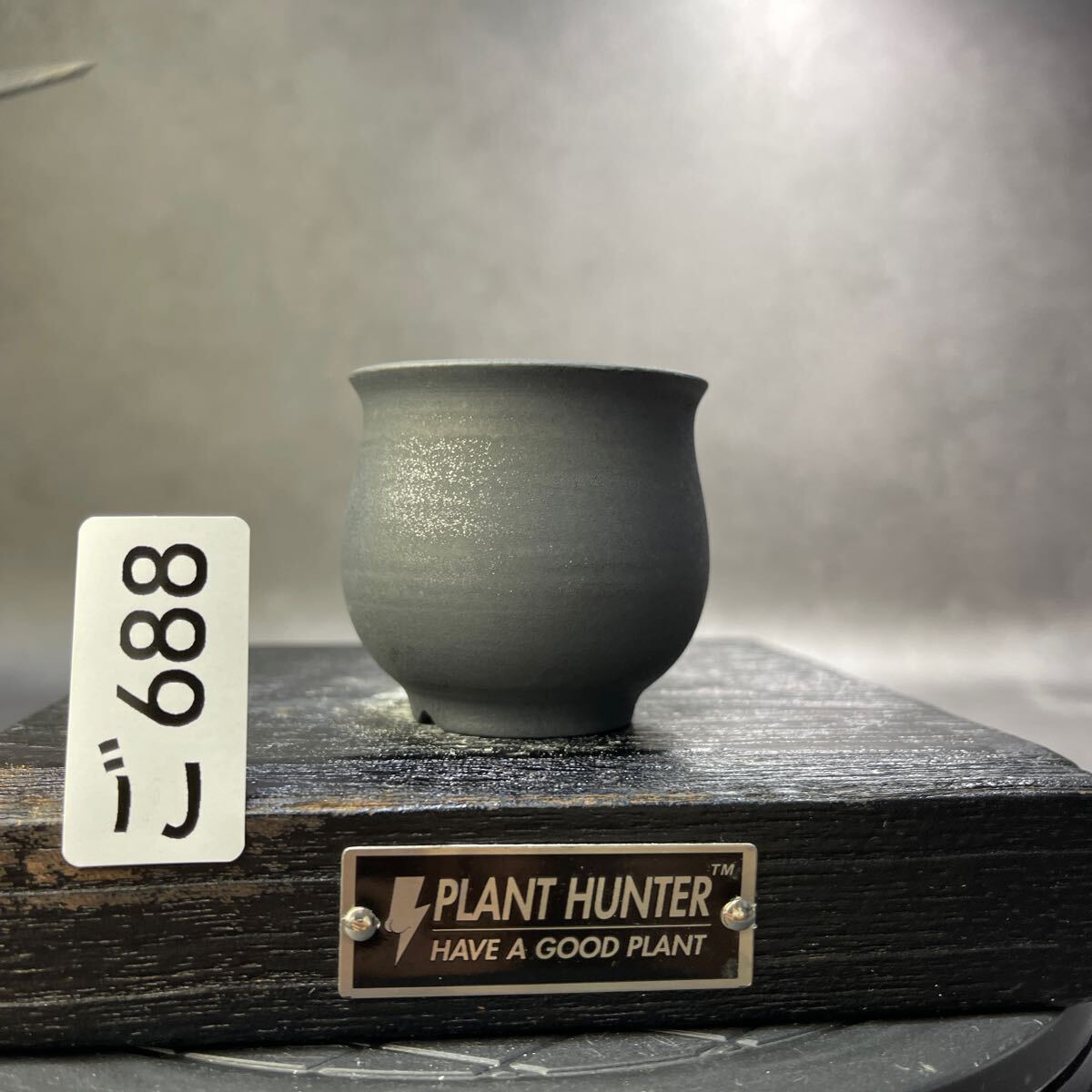 人気デザイナー ご688 HAND Made 1号 植木鉢 陶器検（アガベ パキプス 姫巌竜 工芸品
