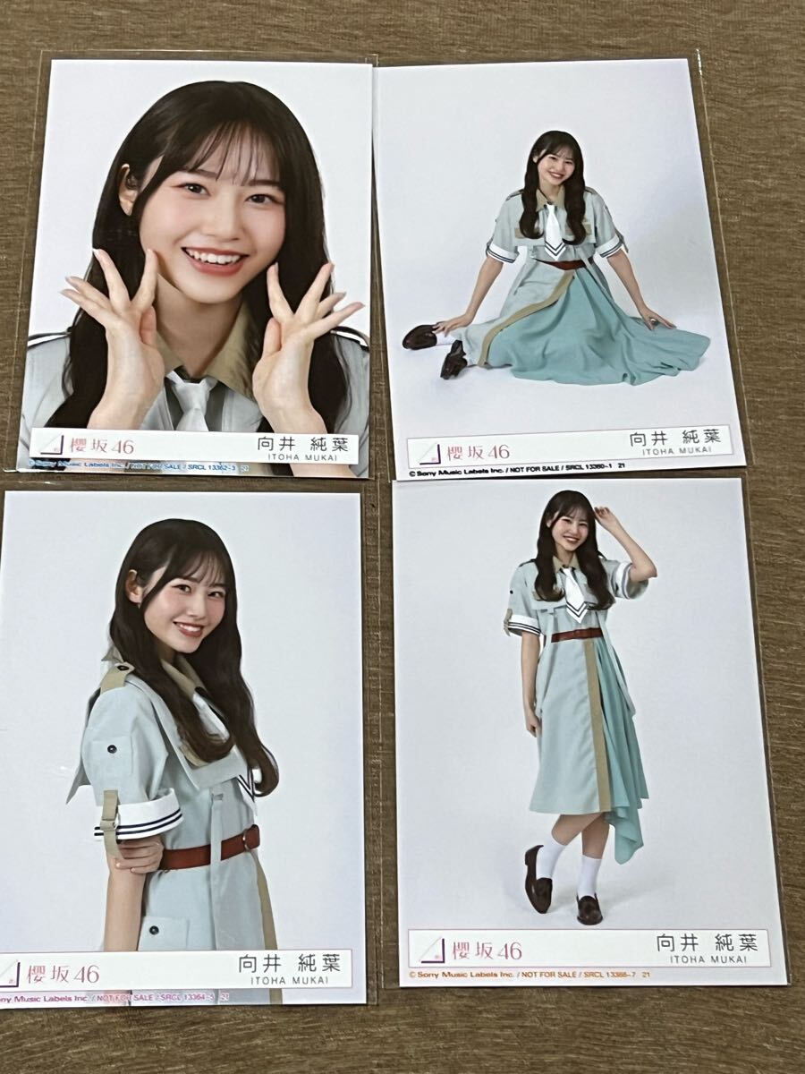 櫻坂46 生写真 3期生 ハロウィン衣装2023 向井純葉 4種コンプ 櫻坂46 生写真 3期生 ハロウィン衣装2023 向井純葉 4種コンプ