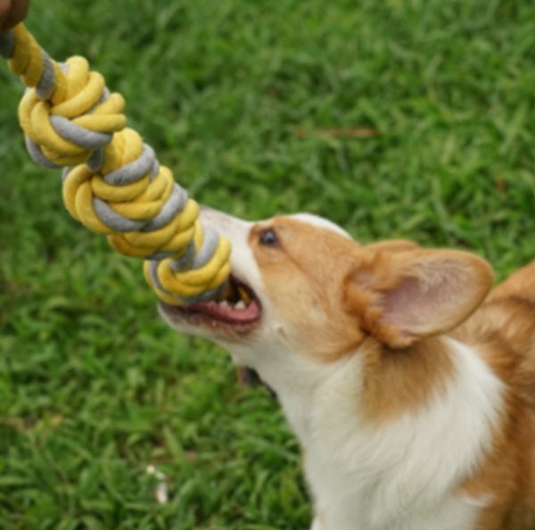 【送料無料】犬おもちゃ 中型犬 大型犬用 犬ロープおもちゃ (イエローロープ)