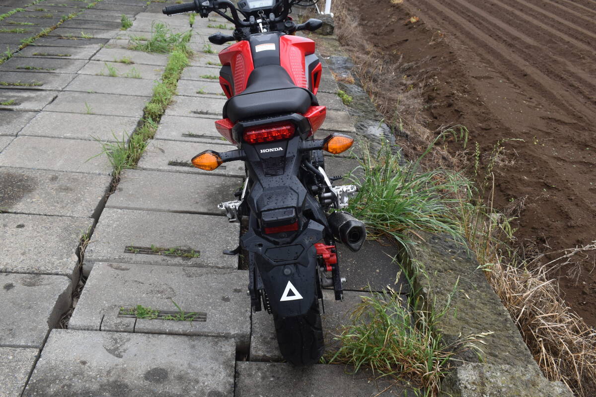  Honda Glo mGROM JC61 поздняя версия дешевый машина распродажа! популярный Monkey DAX Chaly XR KSR KLX