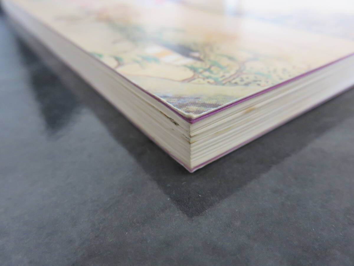 法隆寺発掘調査概報Ⅱ_画像3